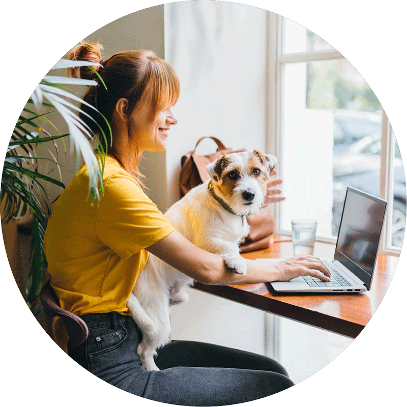 mediamagneten – Mit diesen Online-Angeboten der mediamagneten machst du dein Unternehmen bekannt, stärkst dein Image und verbesserst deine Reputation.