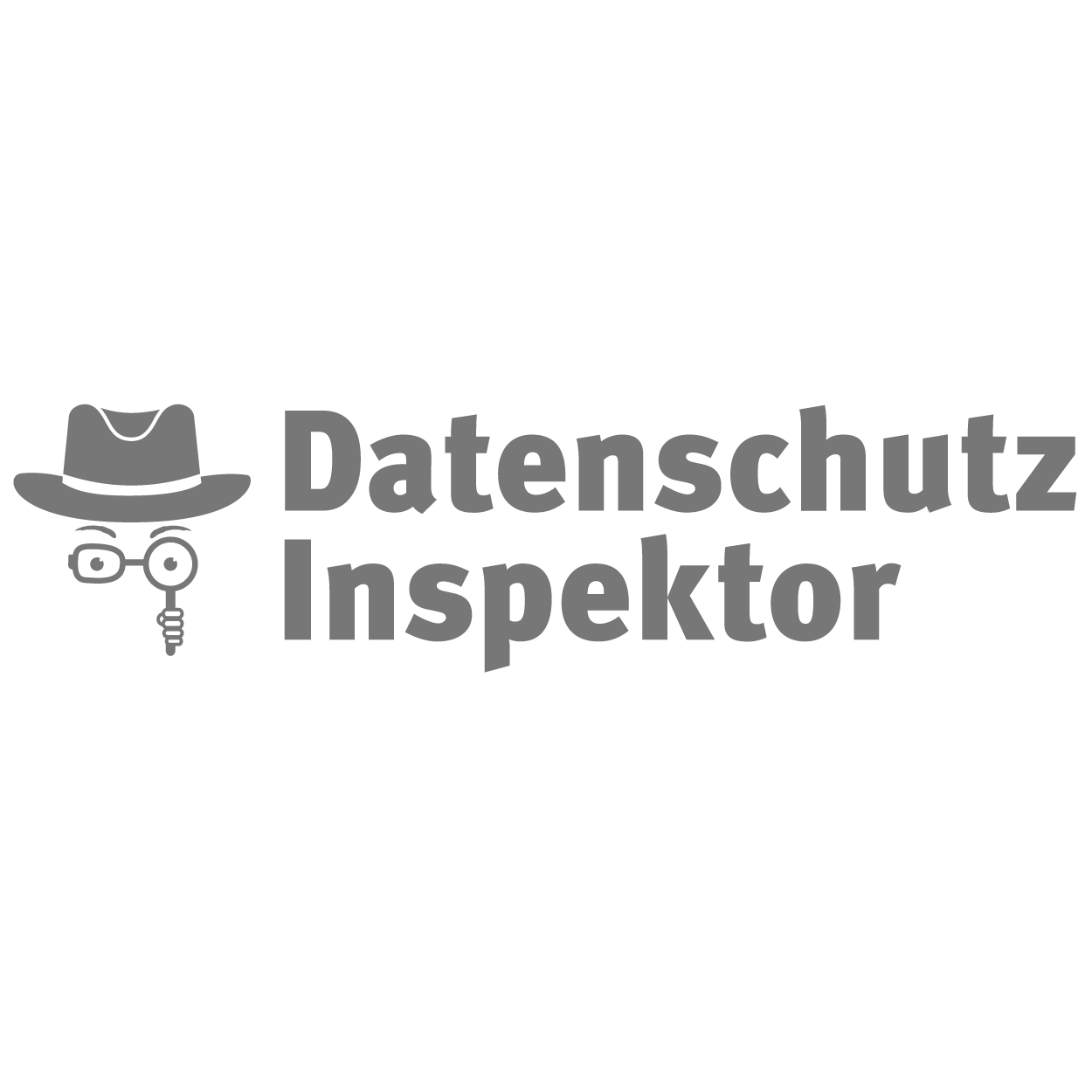 Datenschutz-Inspektor