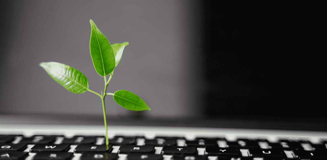 Suchmaschinen – das geht auch nachhaltig!